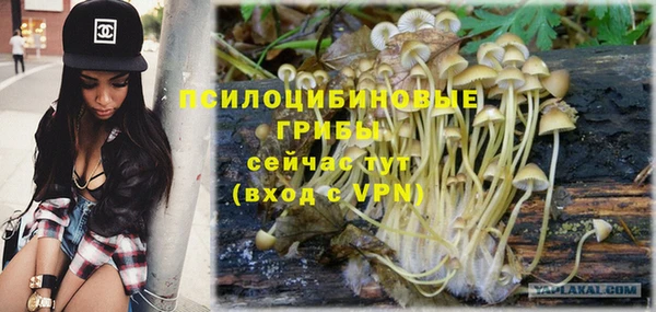 спиды Балахна